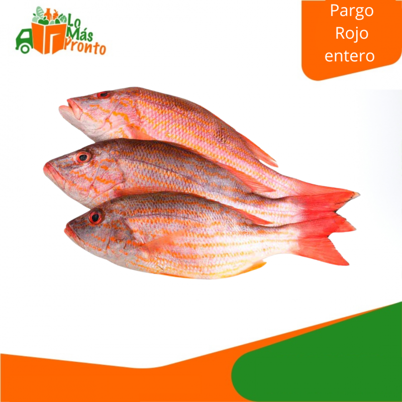 PARGO ROJO ENTERO